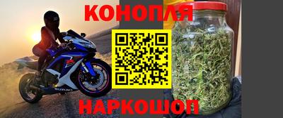 гидра Малоярославец