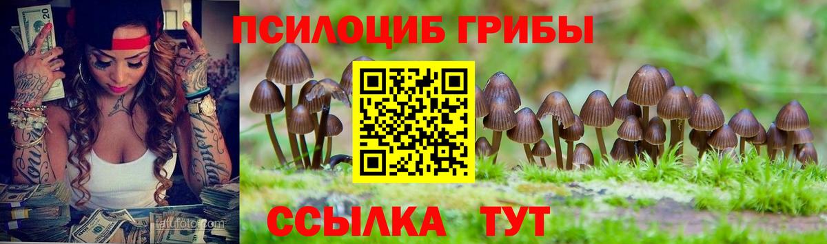 Псилоцибиновые грибы прущие грибы Черкесск