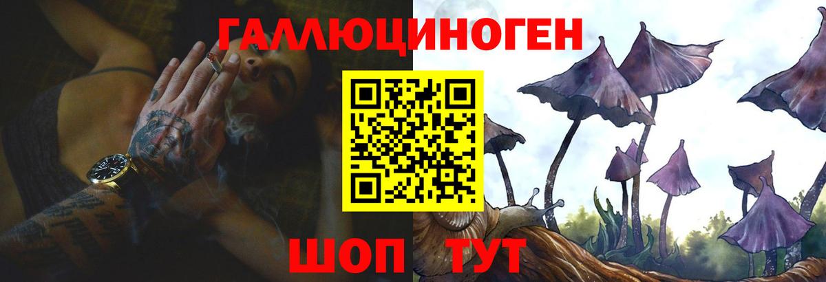 Черкесск  Псилоцибиновые грибы GOLDEN TEACHER  Вход с VPN 